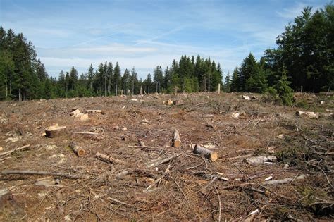 Projet de loi issu de la Convention Citoyenne pour le Climat : un flop pour le paysage